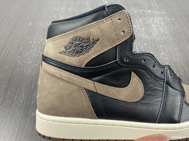 Palomino Jordan Retro DZ5485-020  OG  1  High 0808
